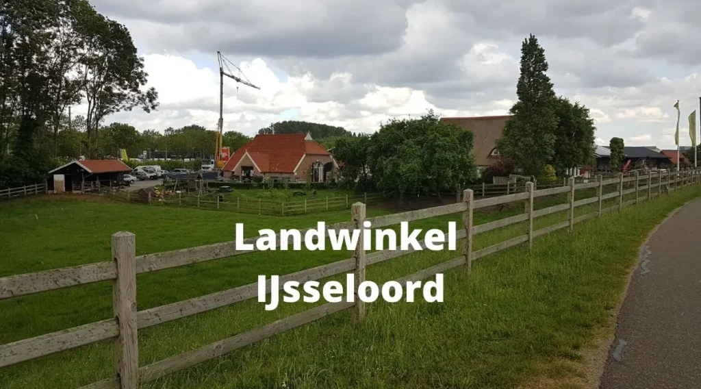 Landwinkel Ijseloord - melkkoeien