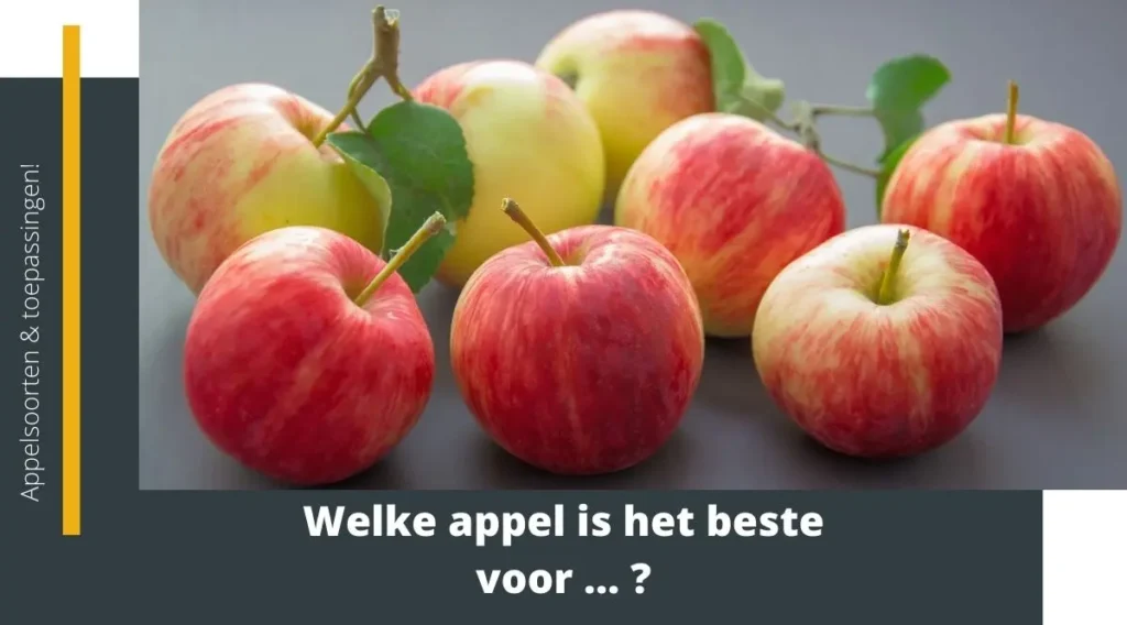 welke appel is het beste voor ...