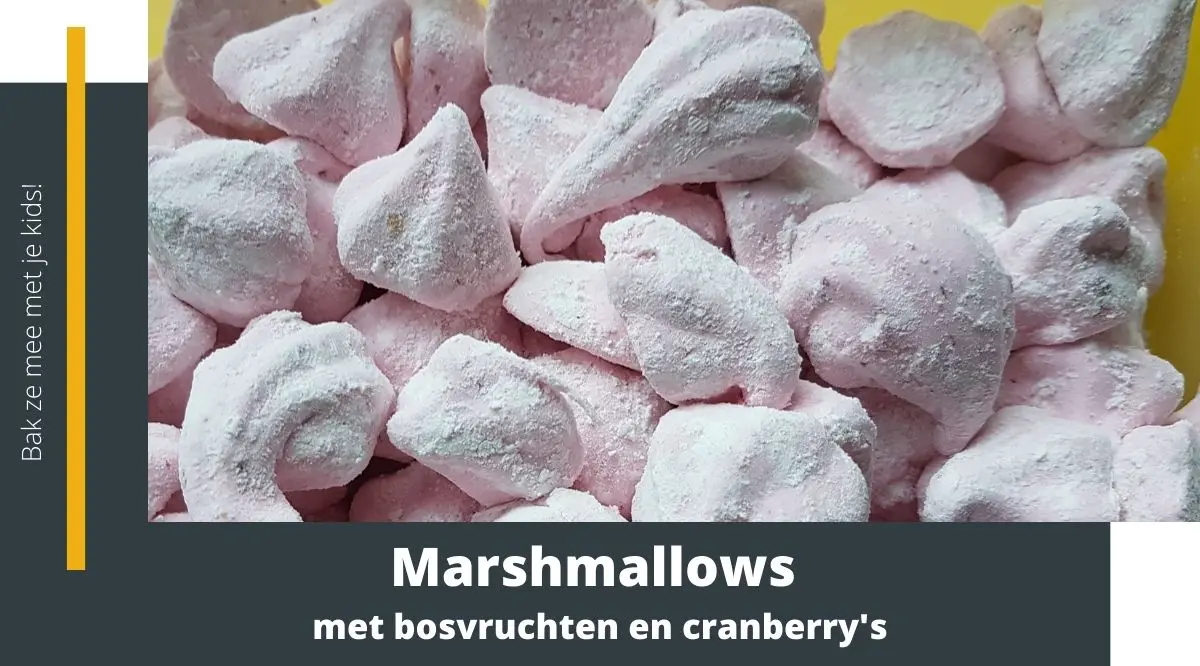Marschmallows met bosvruchten en cranberries