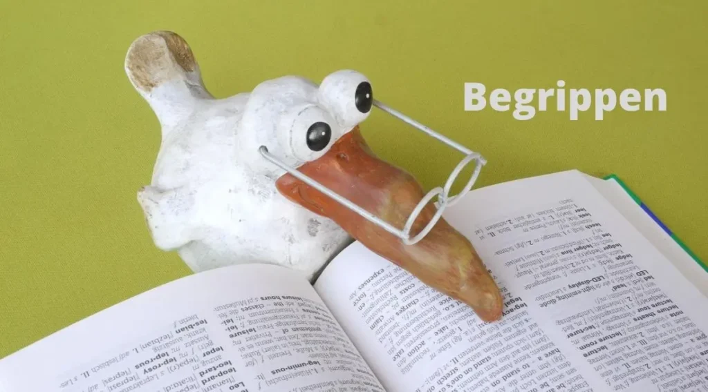 begrippen