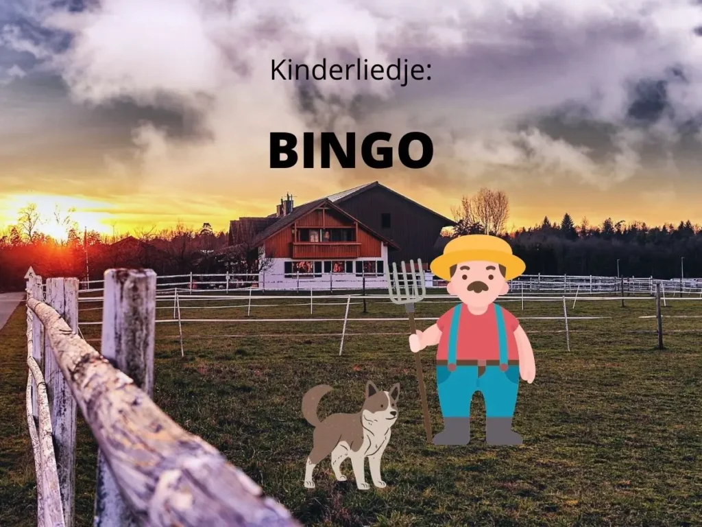 BINGO kinderliedje