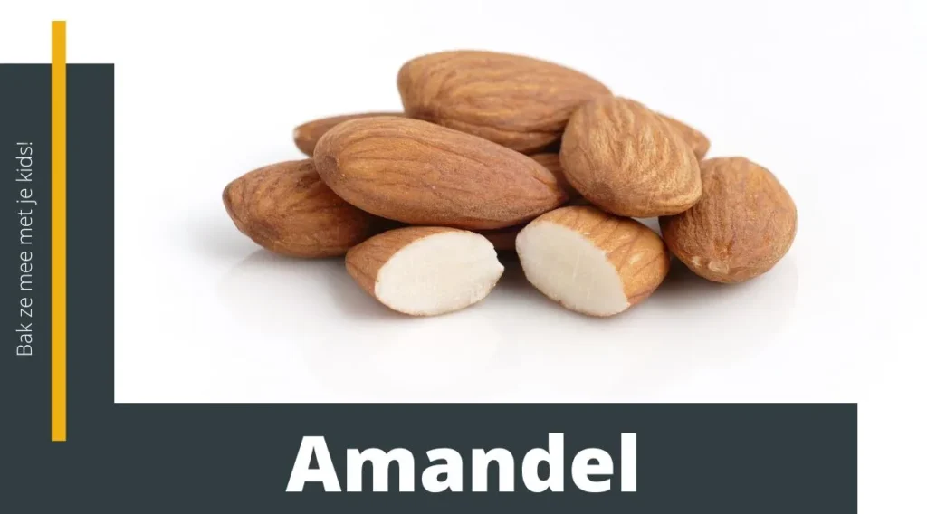 amandel - amandelnoot