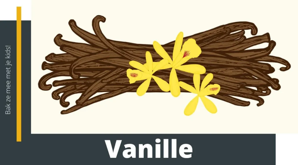 Vanille