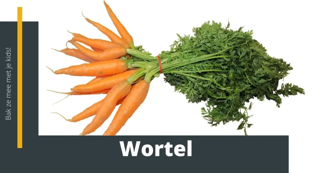 wortel of in het meervoud wortels
